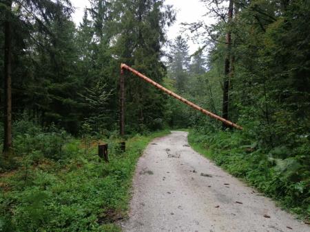 Sanacija posledic neurja_arhiv Občine Domžale (5)